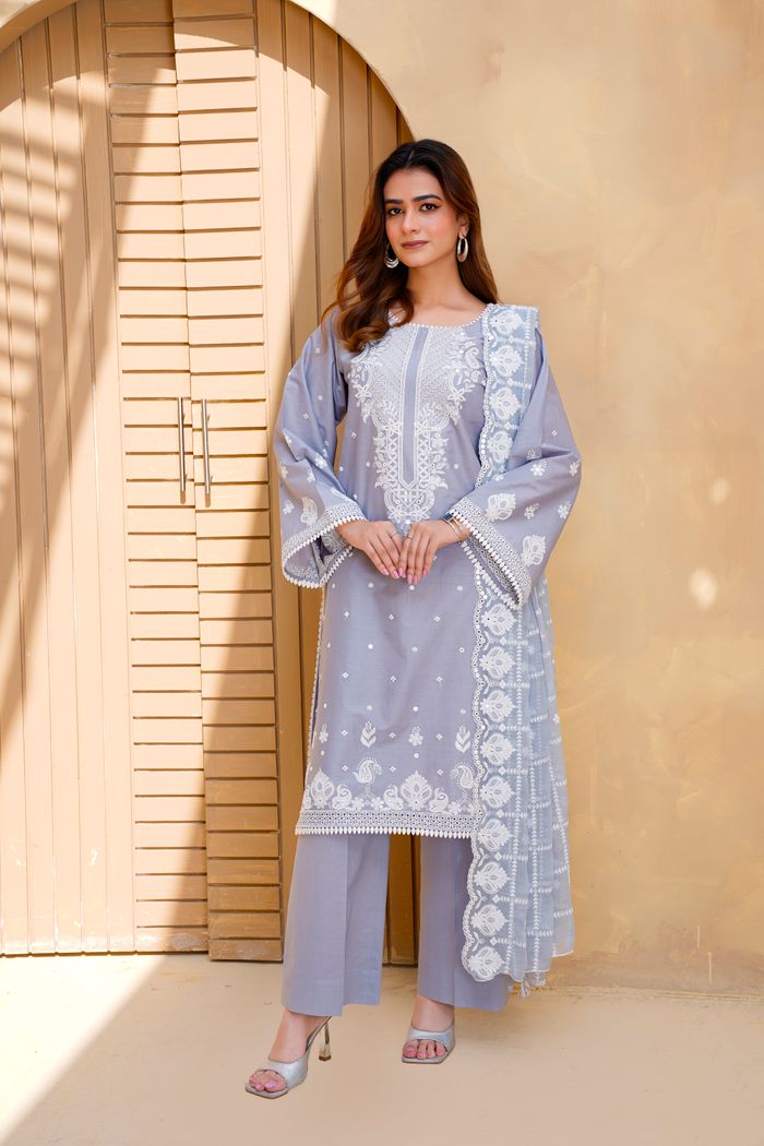 Model in Lahore wearing a grey embroidered eastern dress, showcasing traditional style.